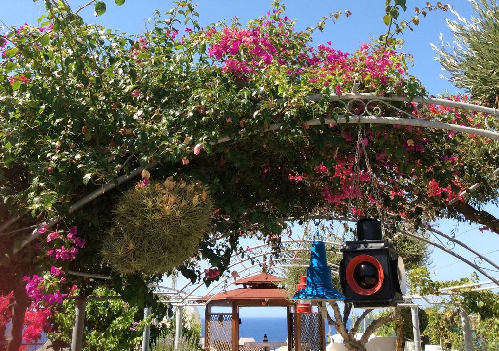 Residenza Stefanelli Capo Vaticano Exterior foto